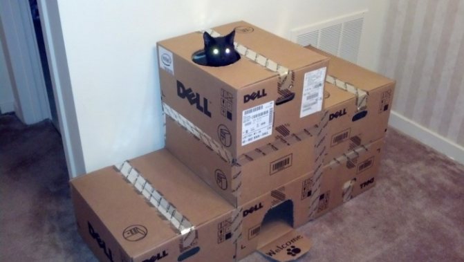 Как сделать домик для кота из коробки своими руками: чертежи, размеры и инструкция поэтапно - обзор + видео
