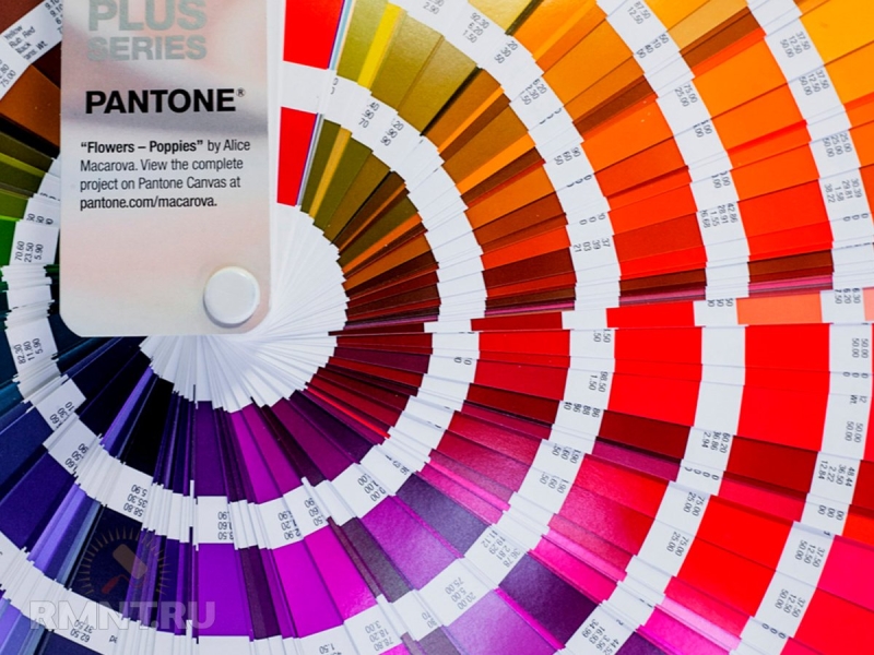 Цветовые палитры Pantone, RAL и NCS: зачем они нужны и чем отличаются?