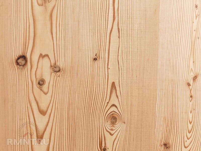 Сосновая древесина: характеристики и применение