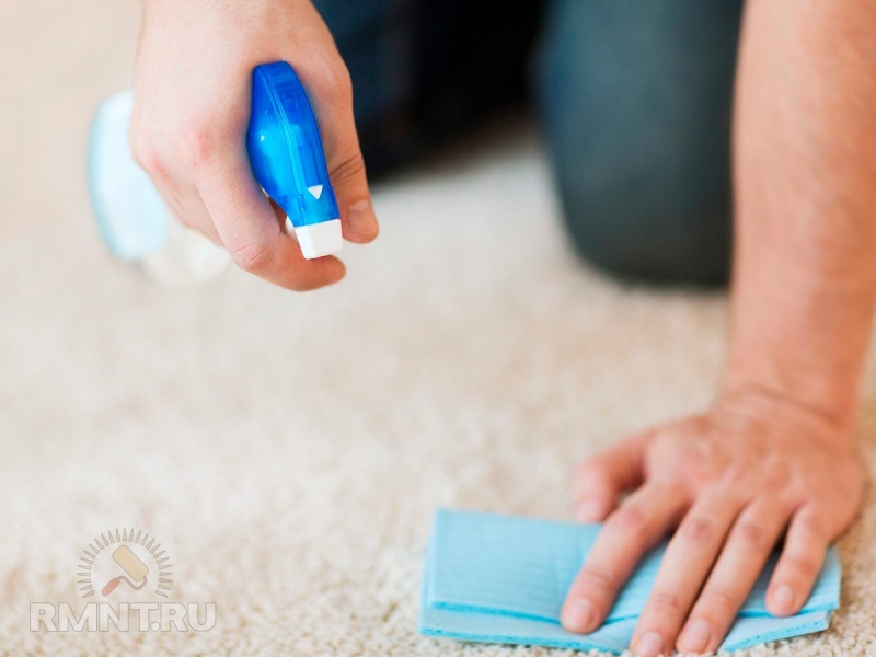 Как избавиться от запаха сырости в доме и квартире