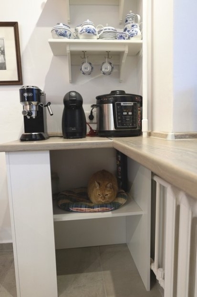На кухне, в кошачьем доме