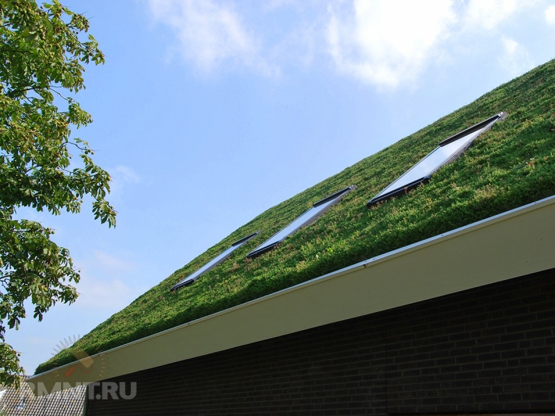 Разнообразие систем зеленых крыш
