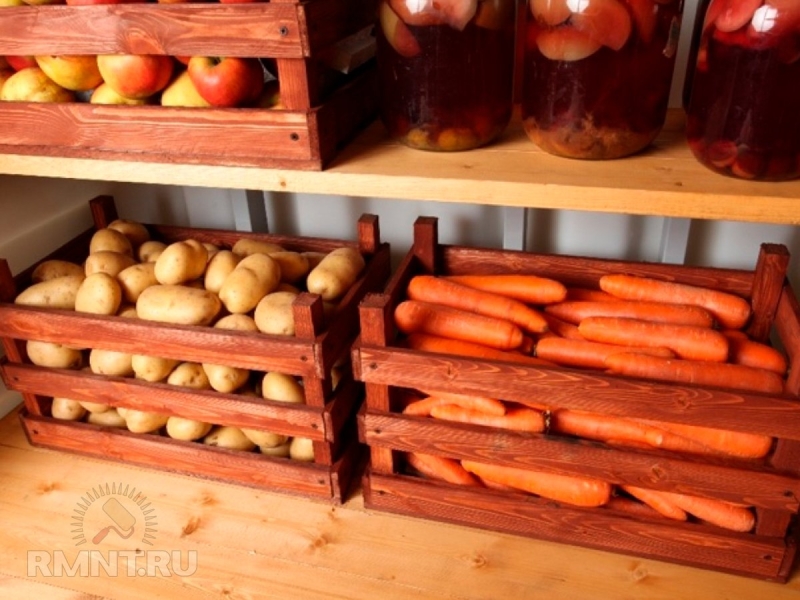 Все способы хранения моркови зимой