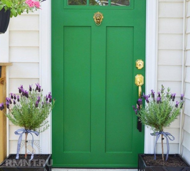 Зеленые входные двери: фотокнига